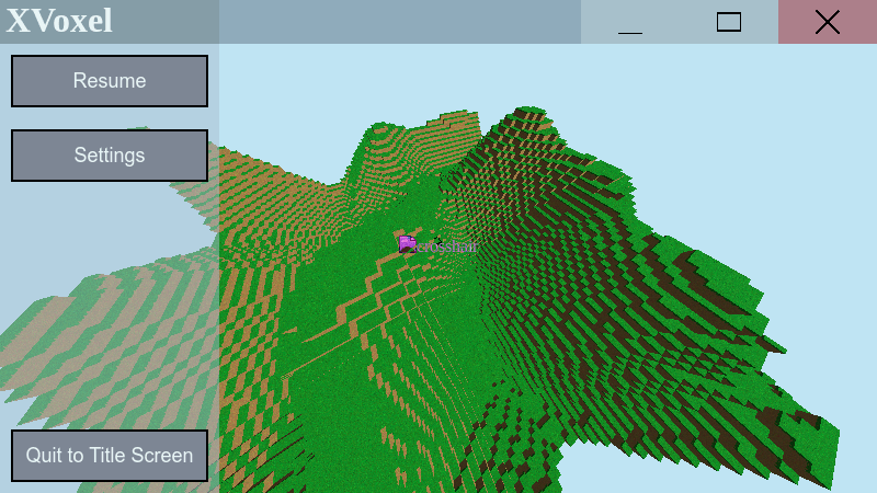 Screenshot of XVoxel in a working state